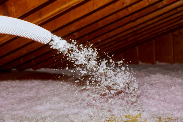 Best Insulation Contractor Near Me  in Marco Island, FL
